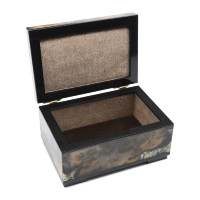 Шкатулка из мохового камня агат с дендритами AZRK-3721508-1