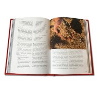 Книга подарочная ВОДКА. ПУТЕВОДИТЕЛЬ. 595(з)