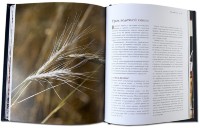 Книга подарочная ВОДКА. АЛЬБОМ-ПУТЕВОДИТЕЛЬ ПО НАСТОЯЩЕМУ И ПУТЕШЕСТВИЕ В ПРОШЛОЕ 670(з)